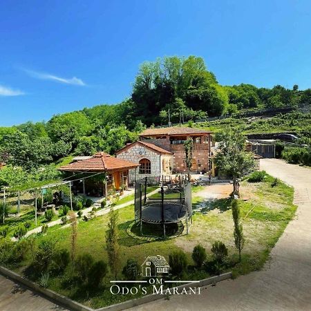 Odo'S Guest House Martvili Εξωτερικό φωτογραφία