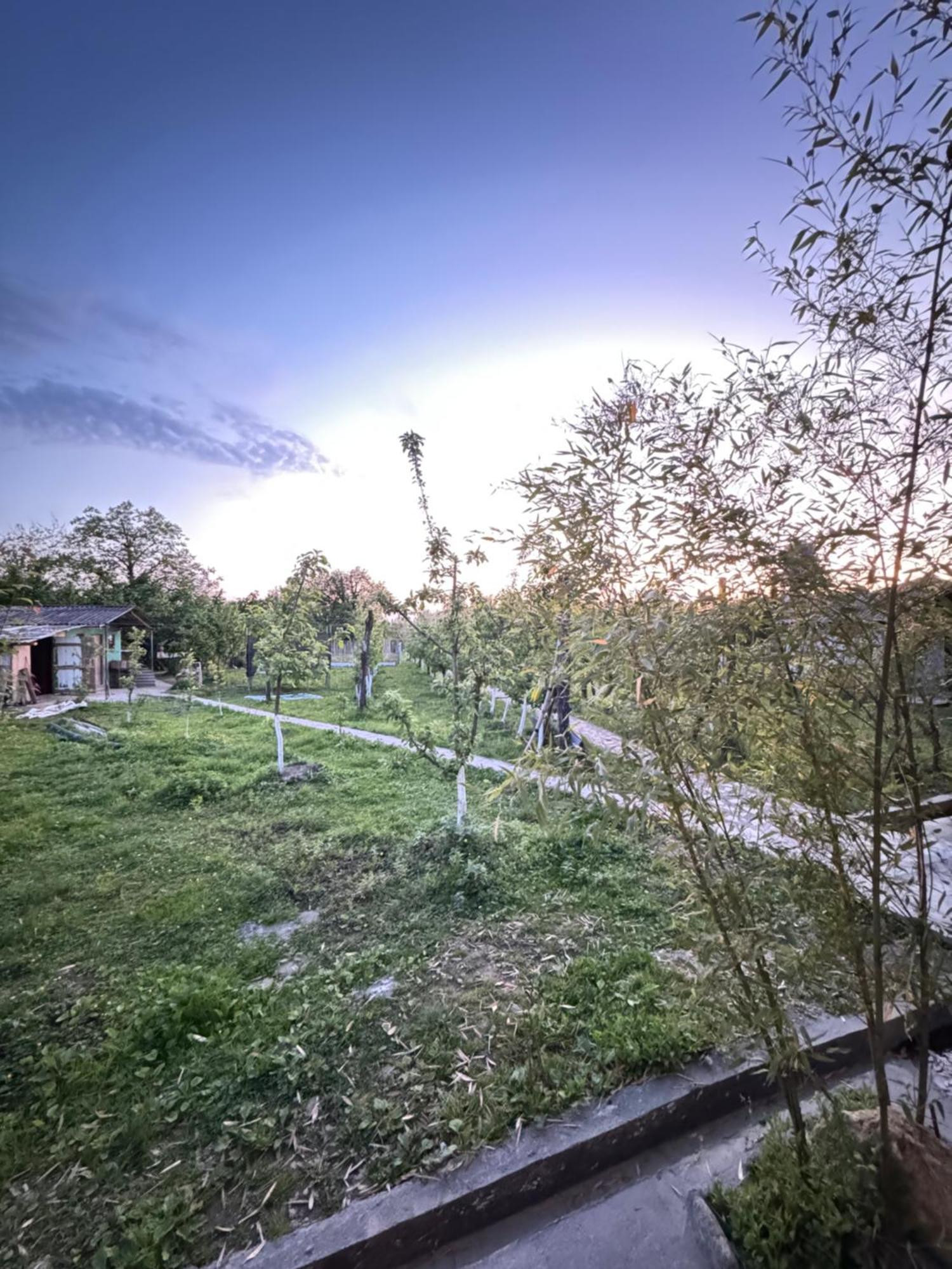 Odo'S Guest House Martvili Εξωτερικό φωτογραφία